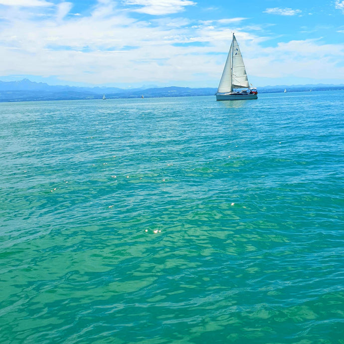 Bodensee Aktivitäten